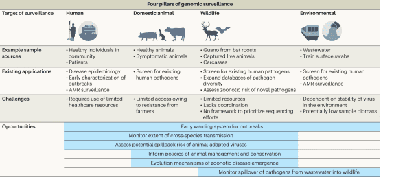 Coordinated SARS-CoV-2 genomic surveillance in humans, the environment, and domestic and wild animals is critical to inform policy development towards an early warning system for detecting outbreaks in humans and animals. AMR, antimicrobial resistance.